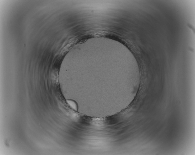 X0000101140240200807251033