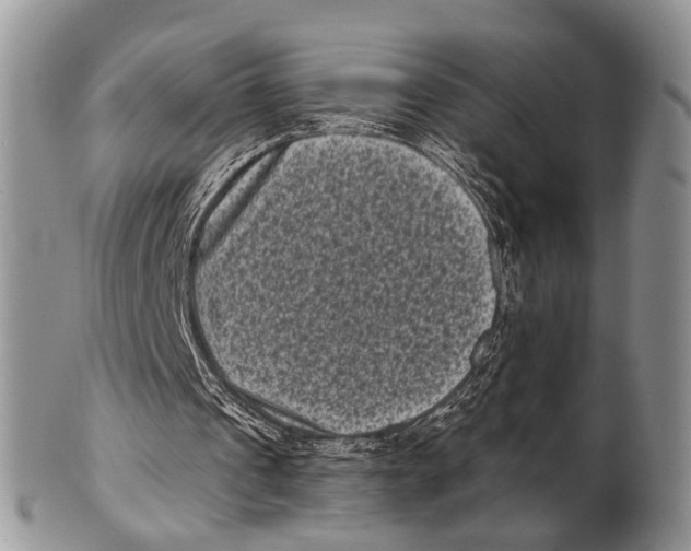 X0000101140241200807251032