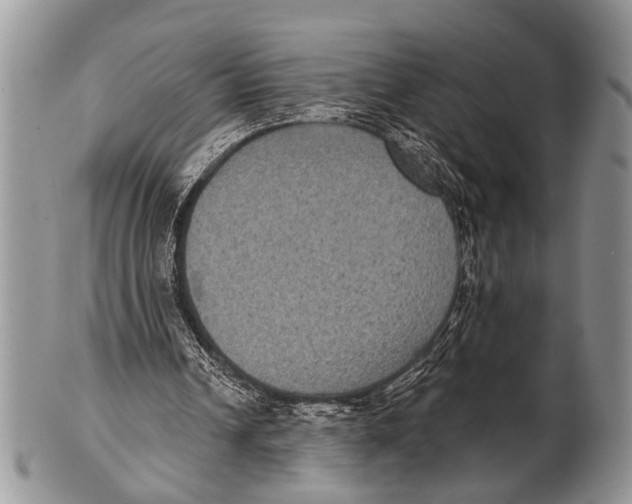 X0000101140242200807251032