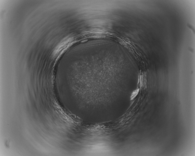 X0000101140243200807251032