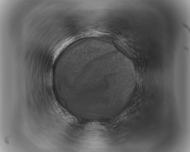 X0000101140244200807251032