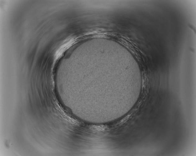 X0000101140245200807251032