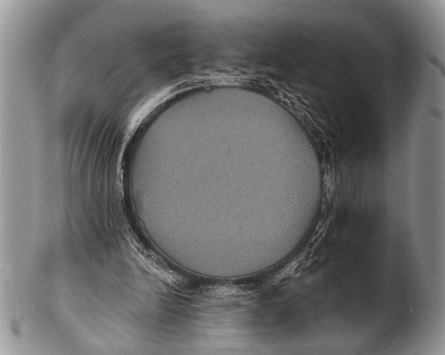 X0000101140246200807251032