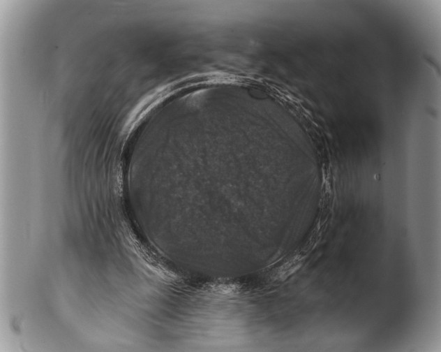 X0000101140247200807251032