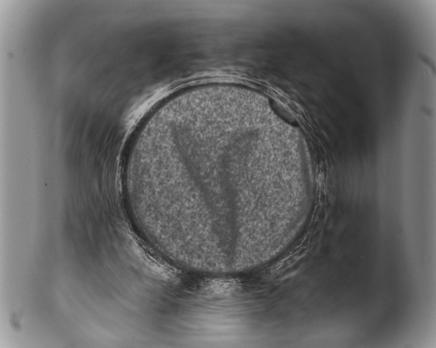 X0000101140248200807251032