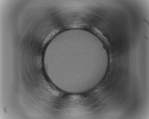 X0000101140250200807251032