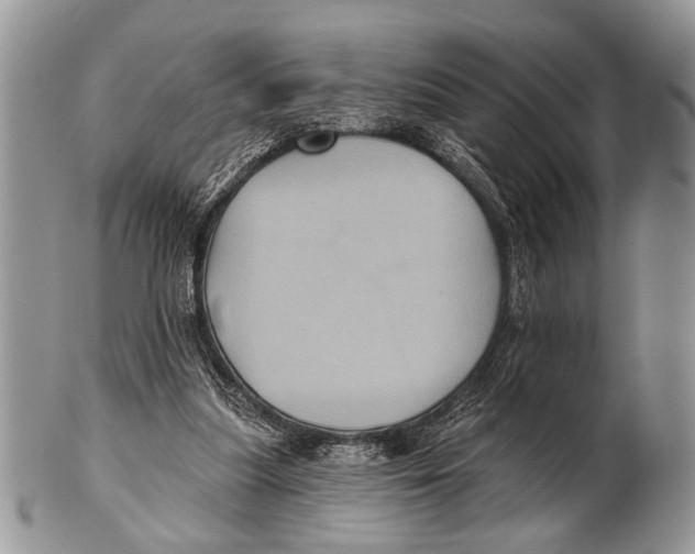 X0000101140251200807251032