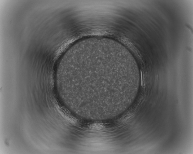 X0000101140252200807251032