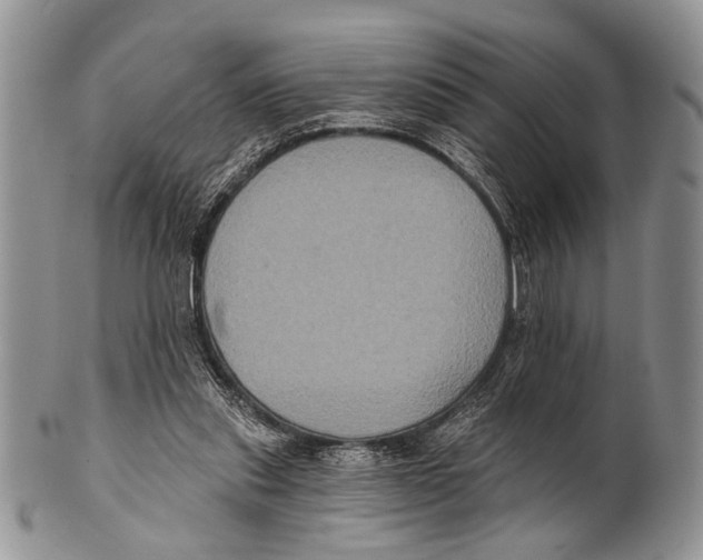 X0000101140253200807251032