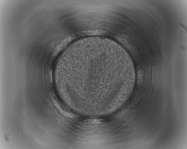 X0000101140254200807251032