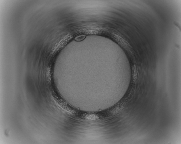 X0000101140258200807251032