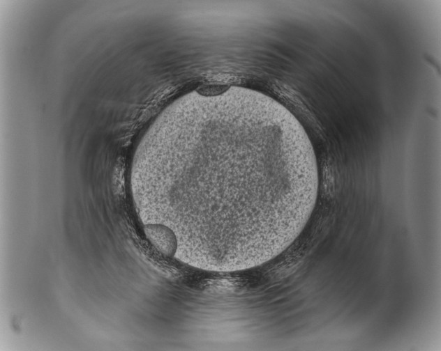 X0000101140259200807251032