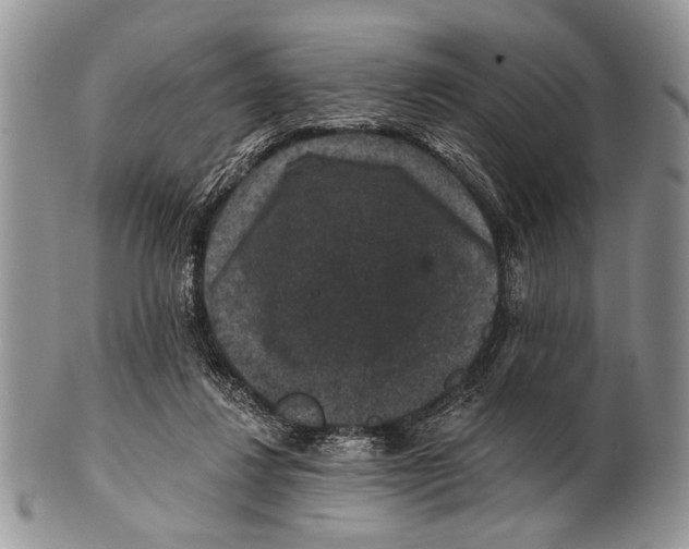 X0000101140260200807251032