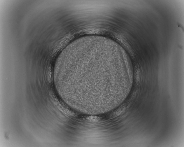 X0000101140261200807251032