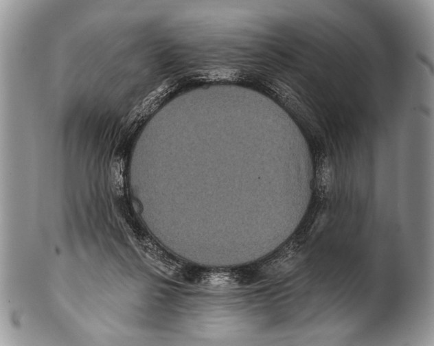 X0000101140264200807251032