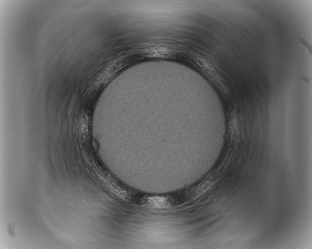 X0000101140265200807251032