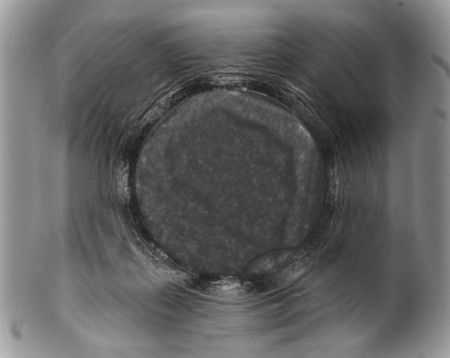 X0000101140267200807251032