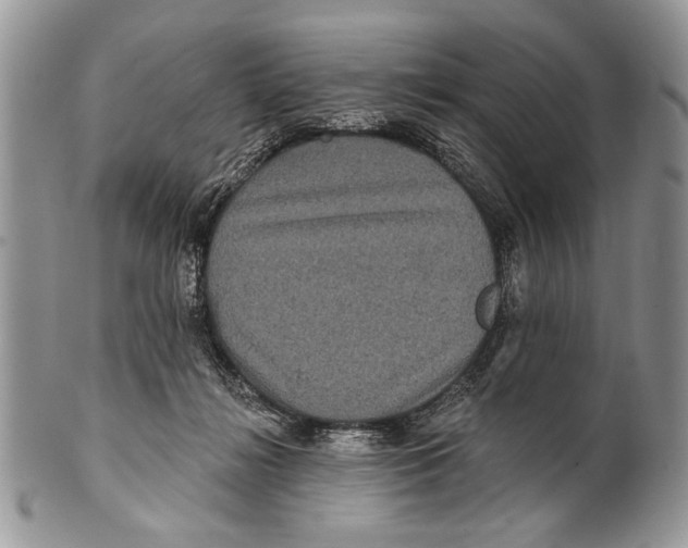 X0000101140268200807251032