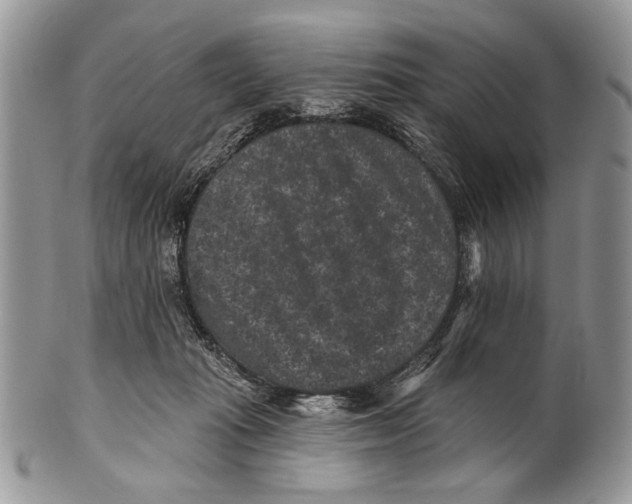 X0000101140269200807251032