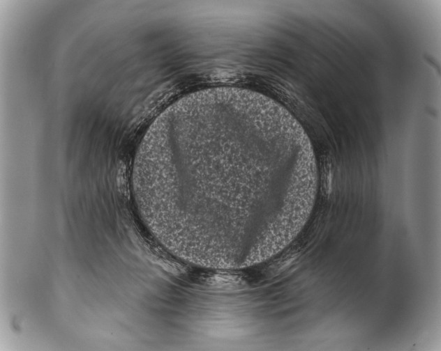 X0000101140270200807251032