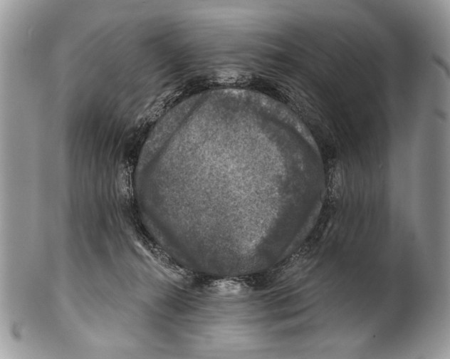 X0000101140272200807251032