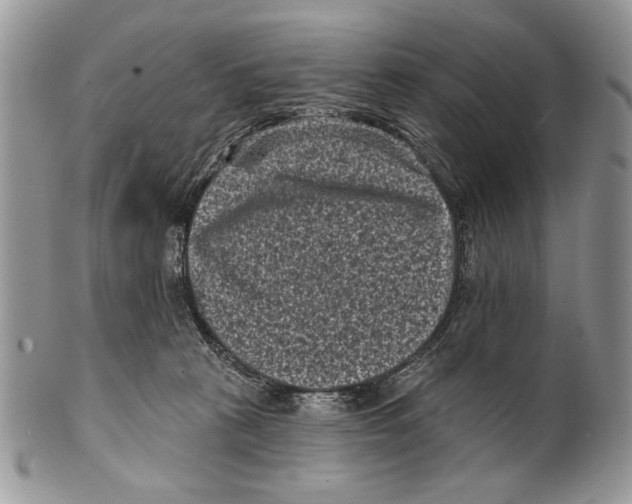 X0000101140273200807251032