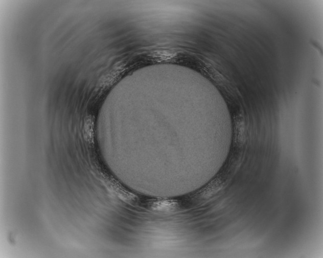 X0000101140274200807251032