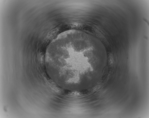 X0000101140276200807251032