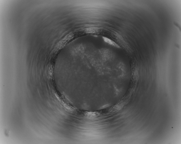 X0000101140277200807251033