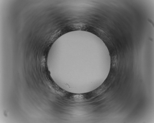 X0000101140279200807251033