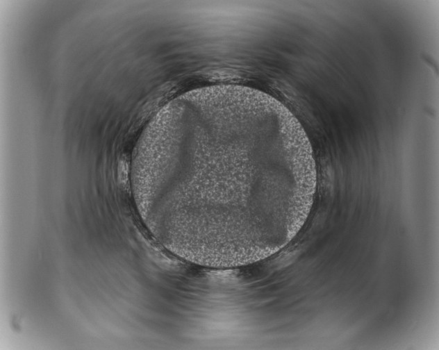 X0000101140281200807251033