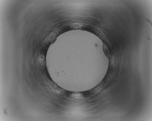 X0000101140283200807251033