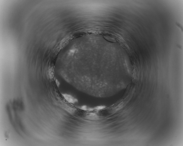 X0000101140285200807251033