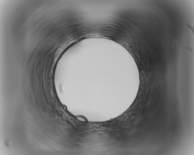 X0000101140289200807251032