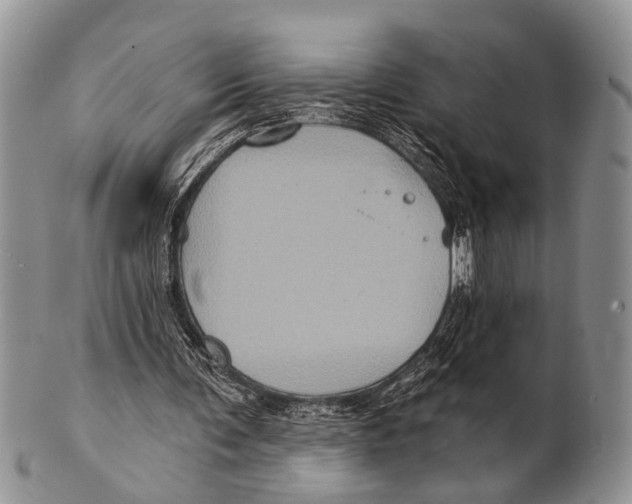 X0000101140291200807251032