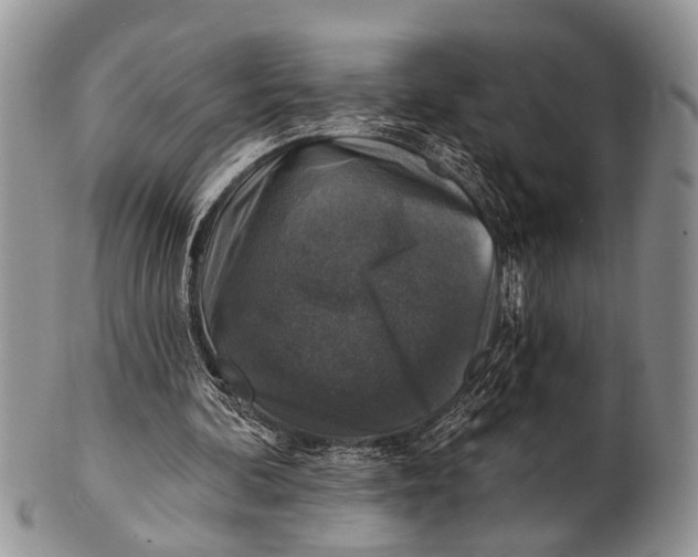 X0000101140292200807251032