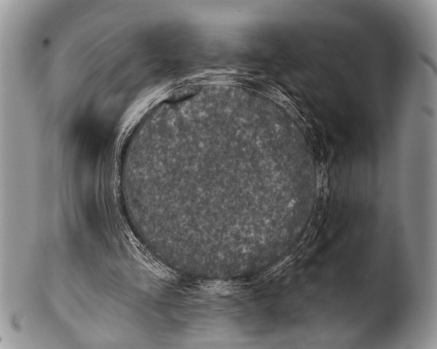 X0000101140293200807251032