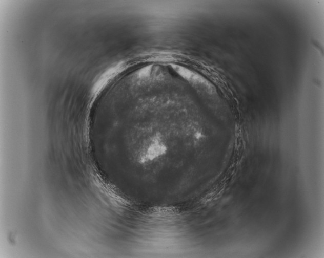 X0000101140296200807251032