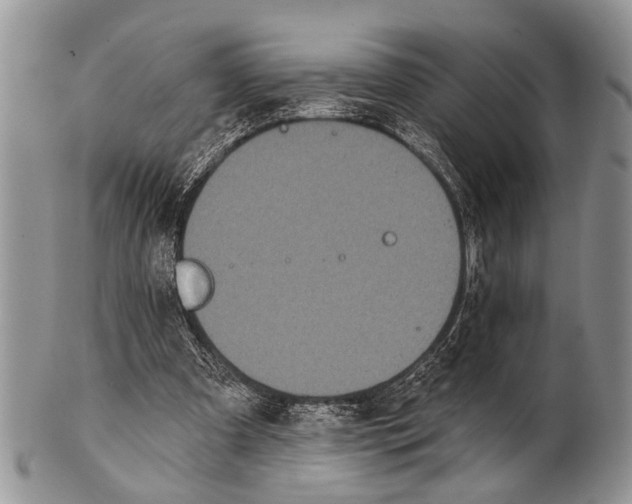 X0000101140297200807251032