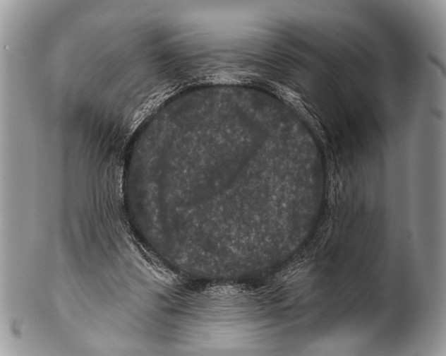 X0000101140299200807251032