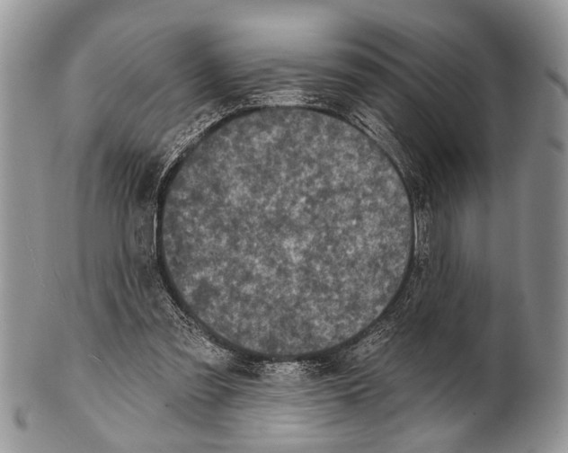 X0000101140301200807251032