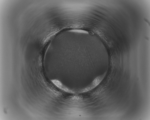 X0000101140303200807251032