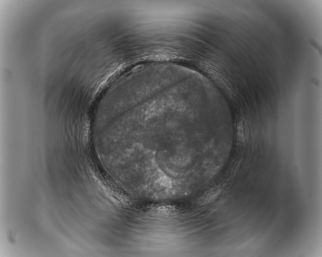 X0000101140304200807251032