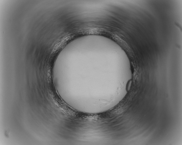 X0000101140306200807251032