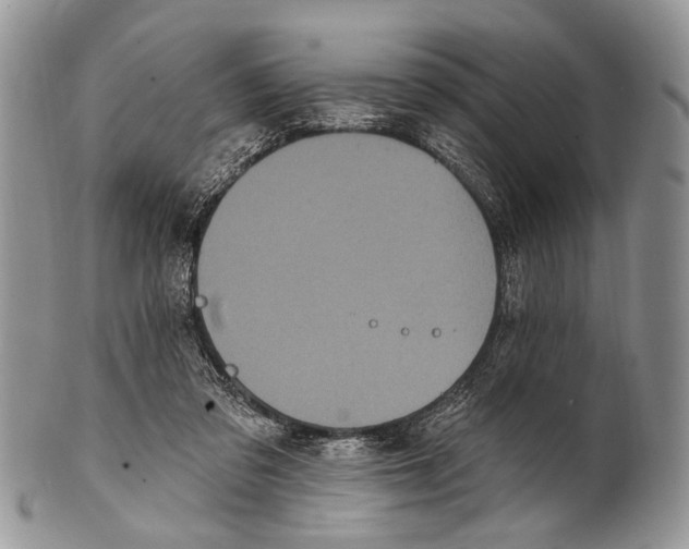 X0000101140309200807251032