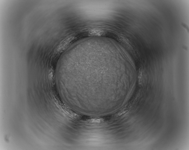 X0000101140314200807251032