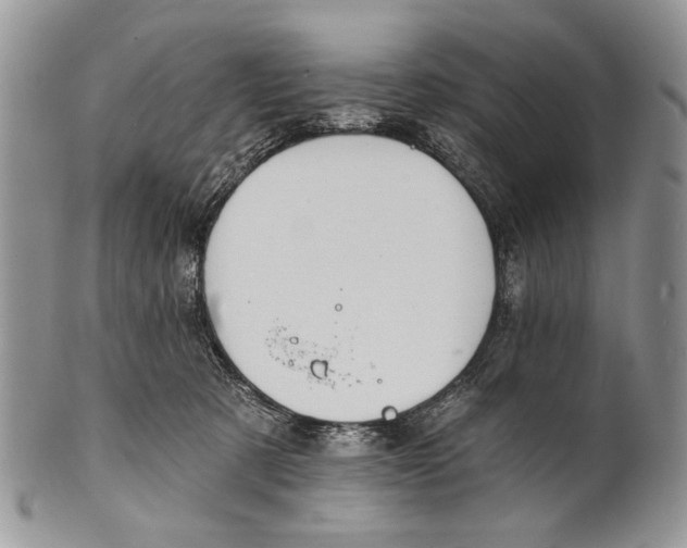 X0000101140321200807251032