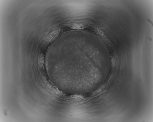 X0000101140322200807251032