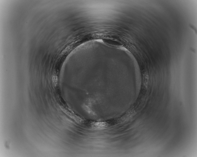 X0000101140324200807251032