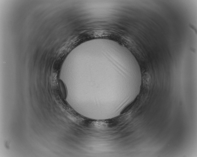 X0000101140327200807251031